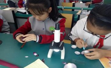 科学课读后感模板5篇