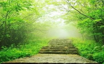 学舞蹈的苦作文最新8篇