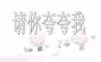 夸夸我的搭档演讲稿8篇