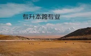 跨专业培训心得体会5篇