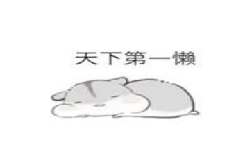 我很懒作文300字7篇