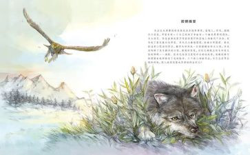 狼王梦的,读后感8篇
