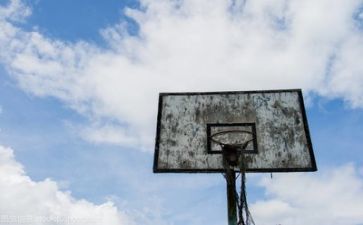 我与篮球的故事作文7篇
