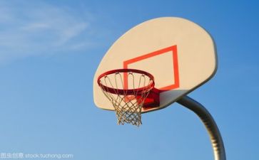 篮球社活动总结模板6篇