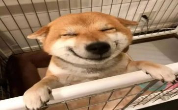 音乐活动的心得体会6篇