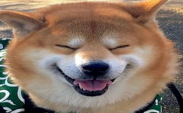 快乐读书月的演讲稿模板7篇