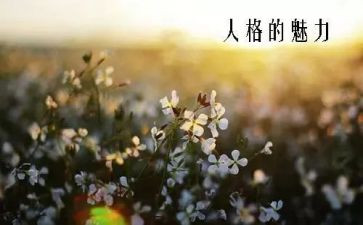 色彩的魅力教学反思6篇