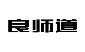 我的良师书作文精选8篇