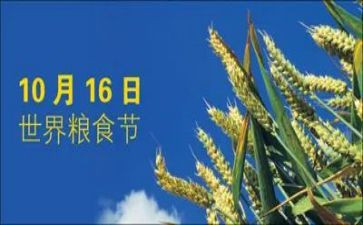 爱粮食节约粮食演讲稿5篇