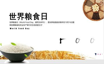 爱粮食节约粮食演讲稿模板8篇