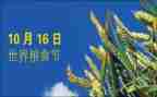 爱粮食节约粮食演讲稿5篇