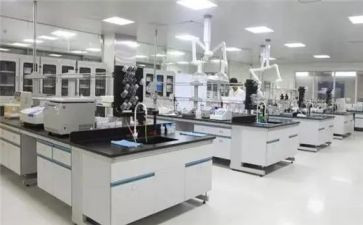理化组教学计划8篇