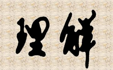理解作文800字5篇