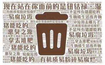 垃圾分类月总结参考6篇