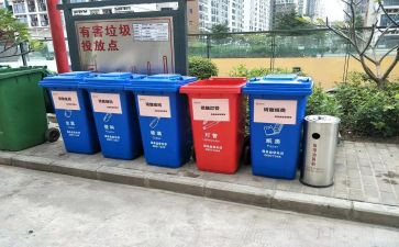 捡校园垃圾心得体会6篇