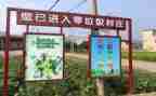 大班垃圾分类教案最新8篇