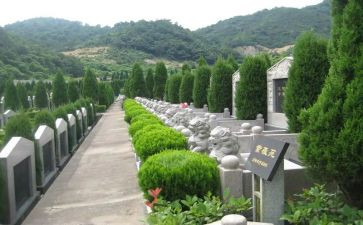 烈士陵园参观心得体会800字8篇