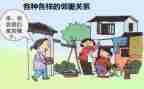 园蛛我的邻居读后感5篇