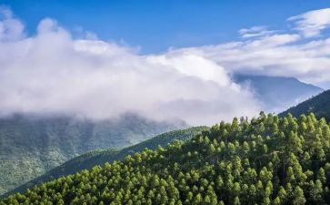 林业站年度个人总结最新8篇