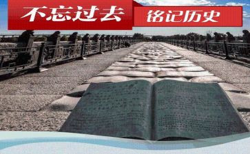历史老师的个人总结8篇