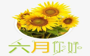 幼儿园六月工作总结7篇