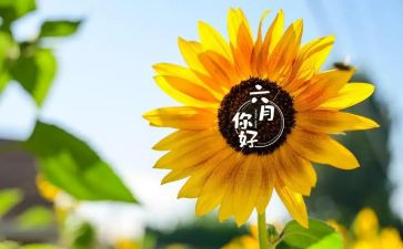 2024年幼儿园六月份工作总结参考8篇