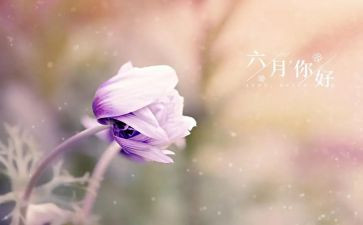幼儿园六月总结6篇
