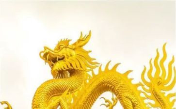 接龙作文精选6篇