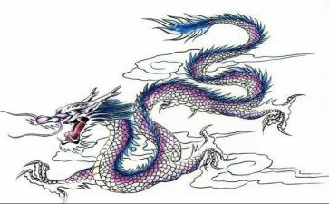 我是龙的作文5篇