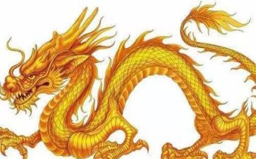 我是龙的作文参考8篇
