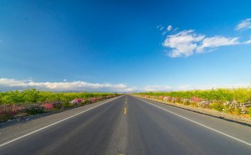 公路监理年度工作总结5篇