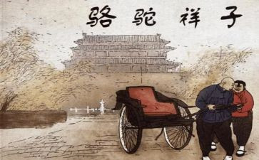 骆驼祥子读后感550字7篇