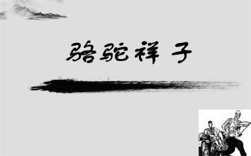 跳骆驼教学反思参考7篇
