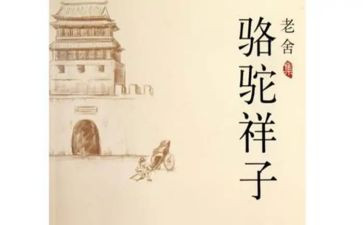 骆驼祥子读后感骆驼祥子读后感500字最新7篇