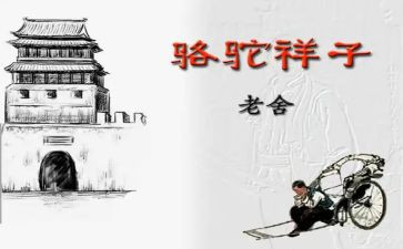 祥子骆驼读后感最新5篇