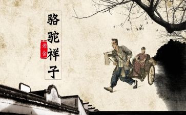 骆驼祥子读后感一千字8篇