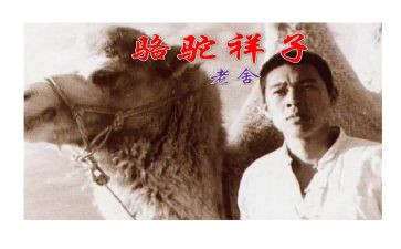 骆驼祥子读后感读后感500字5篇