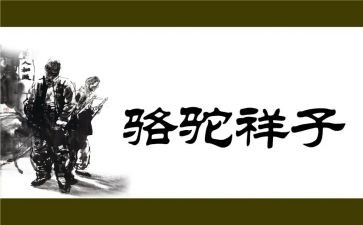 骆驼祥子读后感读后感200字推荐7篇