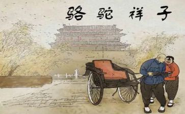 骆驼骆驼祥子读后感优质8篇