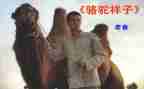 作文《骆驼》读后感精选7篇