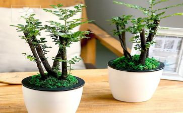 绿色年度工作计划6篇