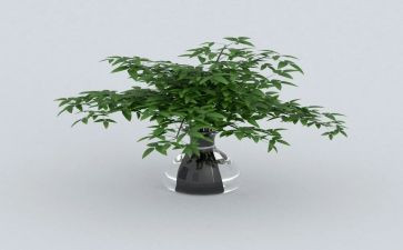 《红绿灯》教案推荐5篇
