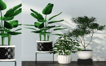 绿化科年度工作计划6篇