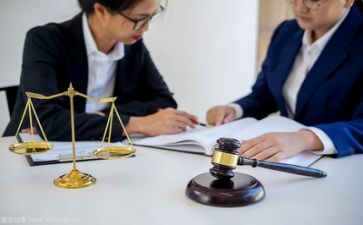 2024年度律师工作总结模板6篇