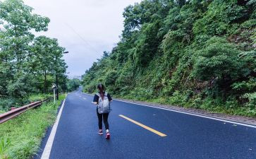 陈的旅行读后感精选7篇
