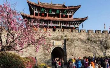 局文化旅游工作计划8篇
