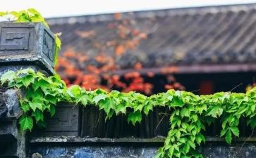 怕,慢,假,庸,散自查报告推荐8篇
