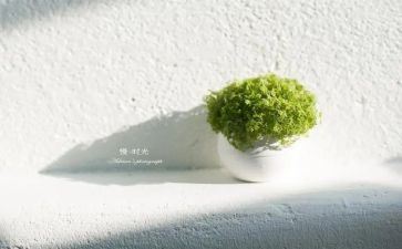 怕,慢,假,庸,散自查报告优秀7篇