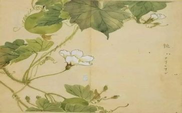 氓教案教学反思8篇