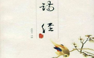 氓教案教学反思精选5篇